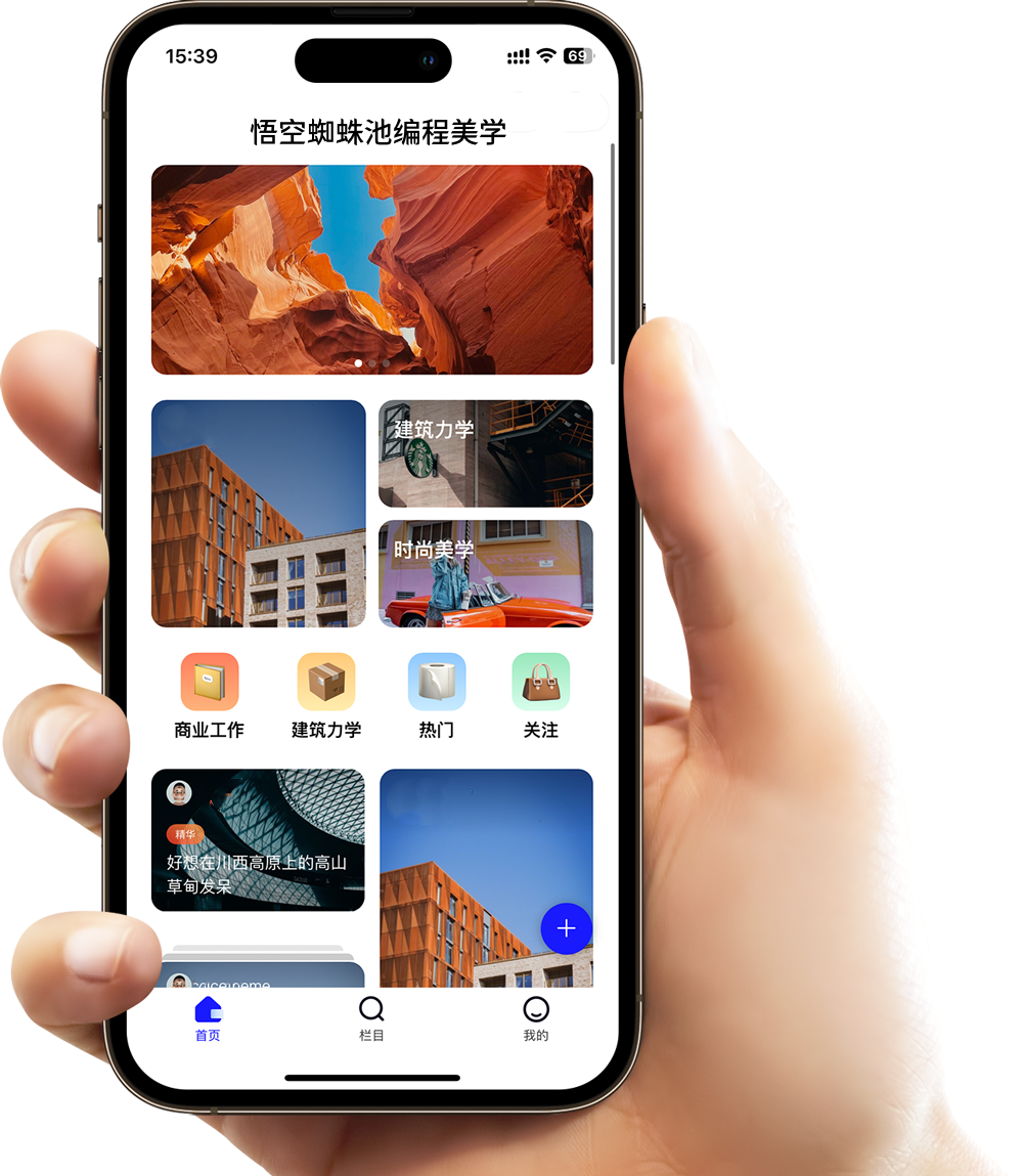 谷歌蜘蛛池手机端示意图（谷歌蜘蛛池出租）